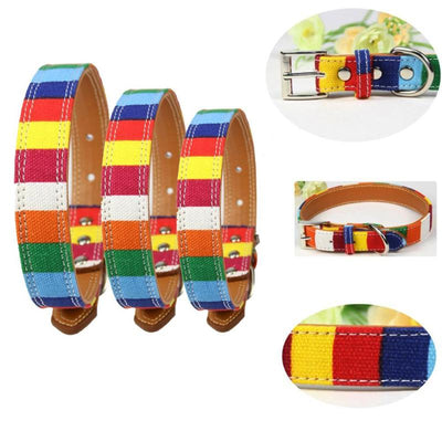 Rainbow Leather For Dogs