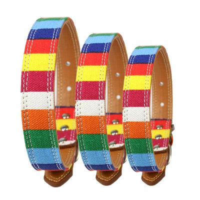 Rainbow Leather For Dogs