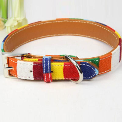 Rainbow Leather For Dogs