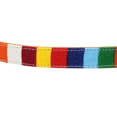 Rainbow Leather For Dogs