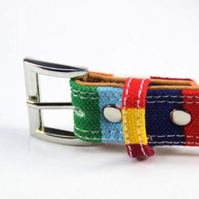 Rainbow Leather For Dogs