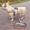 Rainbow Prints Heavy Duty Dog Vest