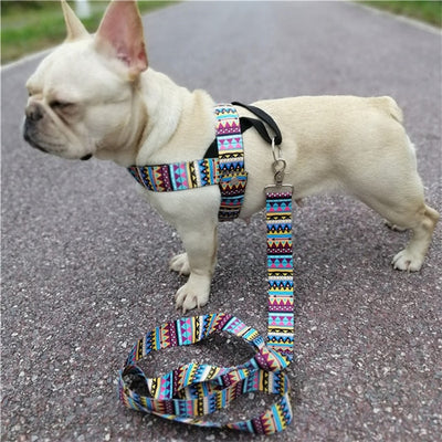 Rainbow Prints Heavy Duty Dog Vest