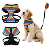 Dog Rainbow Harness Rainbow